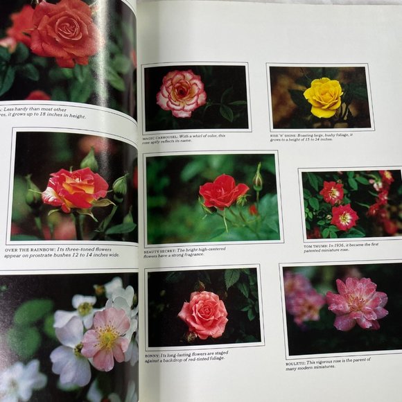 How to Grow Miniatures and Bonsai Plants u Time Life Encyclopedia of Gardening 1 - Picture 6 of 9